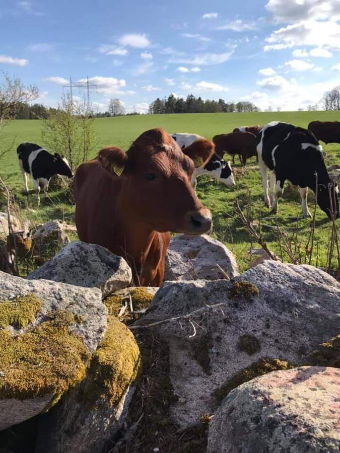 Sjoetorps Saeteris Bed & Breakfast Flygeln Larv Kültér fotó