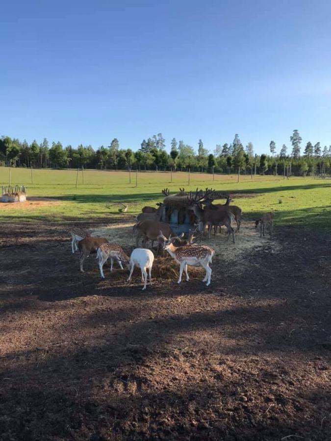 Sjoetorps Saeteris Bed & Breakfast Flygeln Larv Kültér fotó