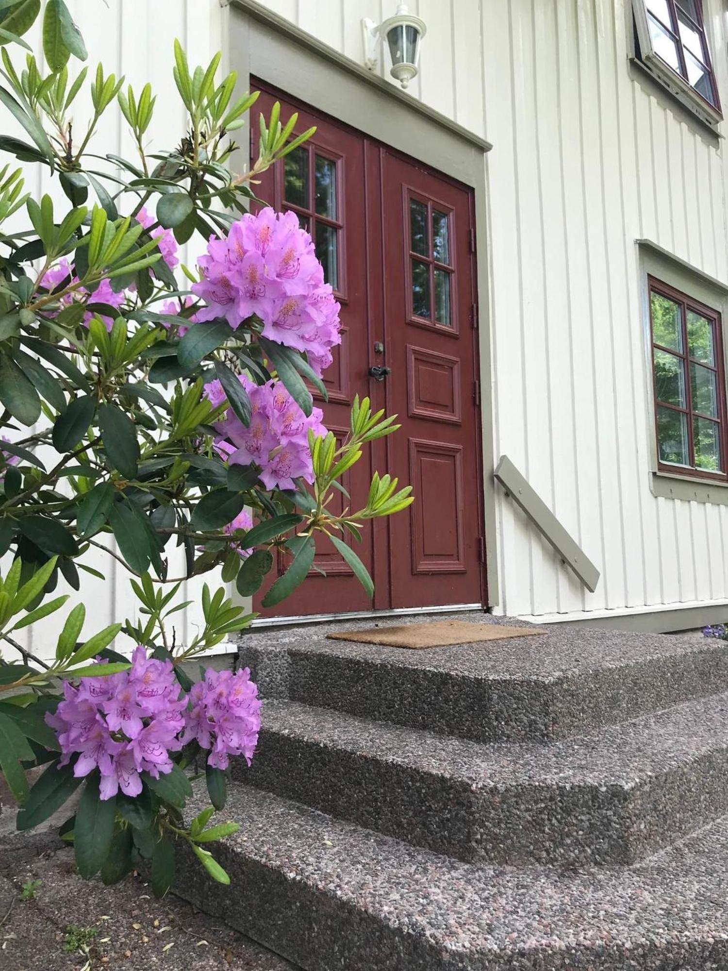 Sjoetorps Saeteris Bed & Breakfast Flygeln Larv Kültér fotó